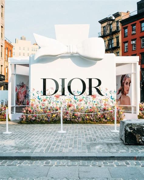 miss dior gansevoort|Miss Dior Pop.